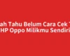 Sudah Tahu Belum Cara Cek Tipe HP Oppo Milikmu Sendiri