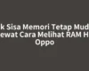 Cek Sisa Memori Tetap Mudah Lewat Cara Melihat RAM HP Oppo