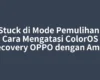 HP Stuck di Mode Pemulihan? Ini Cara Mengatasi ColorOS Recovery OPPO dengan Aman