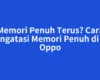 Memori Penuh Terus? Cara Mengatasi Memori Penuh di HP Oppo