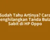 Sudah Tahu Artinya? Cara Menghilangkan Tanda Bulan Sabit di HP Oppo