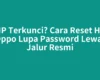 HP Terkunci? Cara Reset HP Oppo Lupa Password Lewat Jalur Resmi