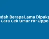 Sudah Berapa Lama Dipakai? Cara Cek Umur HP Oppo