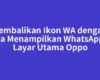 Kembalikan Ikon WA dengan Cara Menampilkan WhatsApp di Layar Utama Oppo