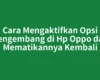 Cara Mengaktifkan Opsi Pengembang di Hp Oppo dan Mematikannya Kembali