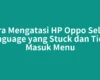 Cara Mengatasi HP Oppo Select Language yang Stuck dan Tidak Masuk Menu