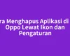 Cara Menghapus Aplikasi di HP Oppo Lewat Ikon dan Pengaturan